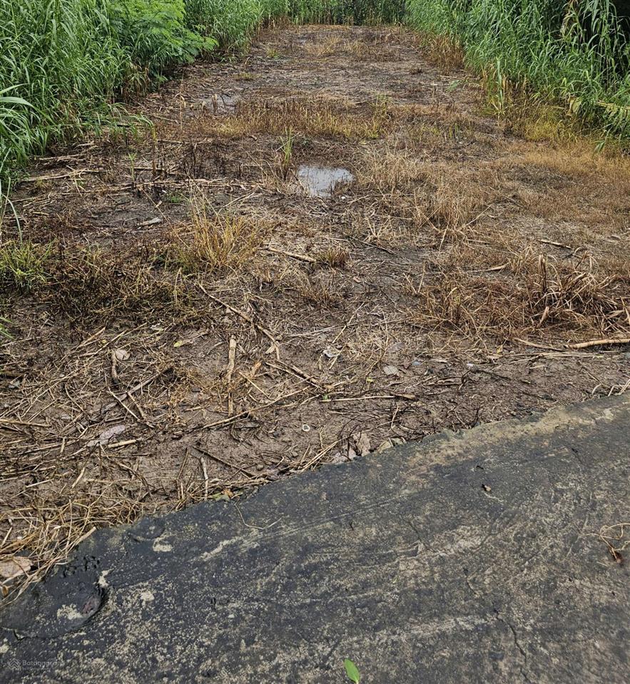 Bán nền thổ cư rạch mù u, cái răng, cần thơ cách chợ cái chanh 1.8km lộ ô tô, không quy hoạch