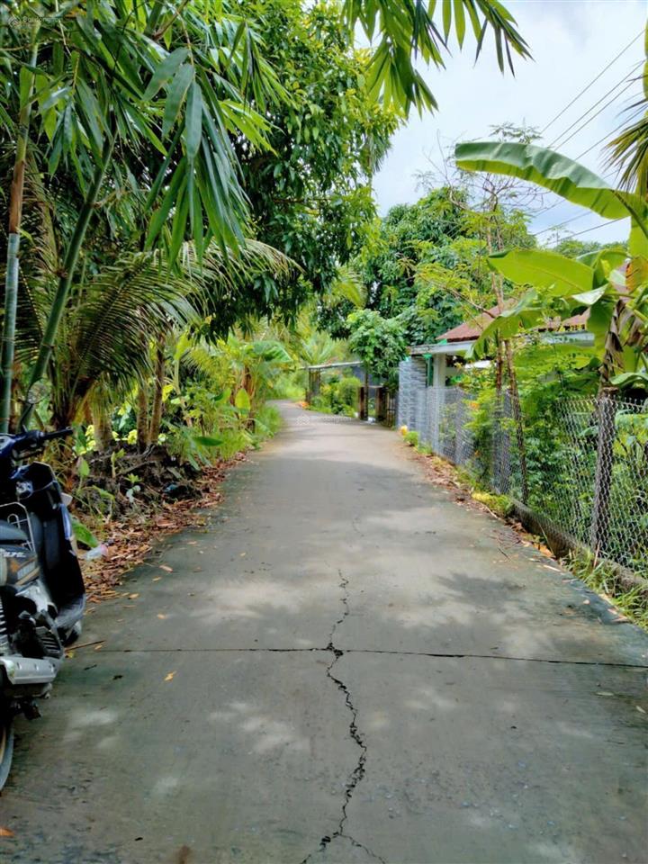 Bán đất cái tắc lộ ô tô cách cầu đất sét, ql1a chỉ 1,3km, cách chợ cái tắc 2,5km