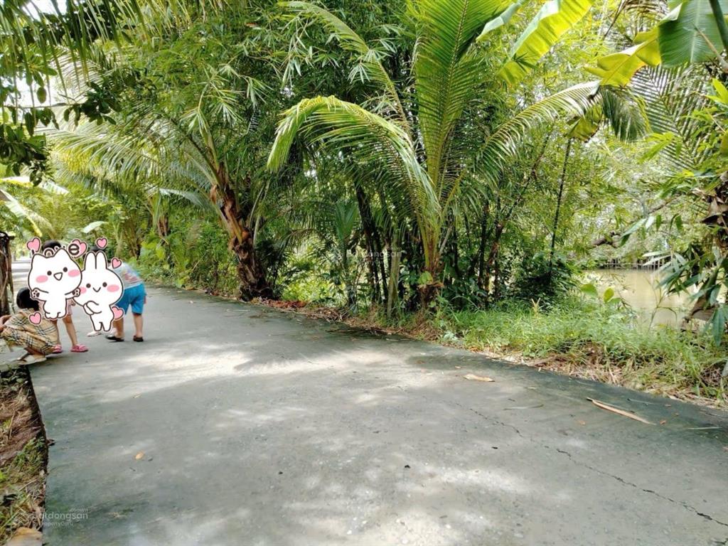 Bán đất cái tắc lộ ô tô cách cầu đất sét, ql1a chỉ 1,3km, cách chợ cái tắc 2,5km