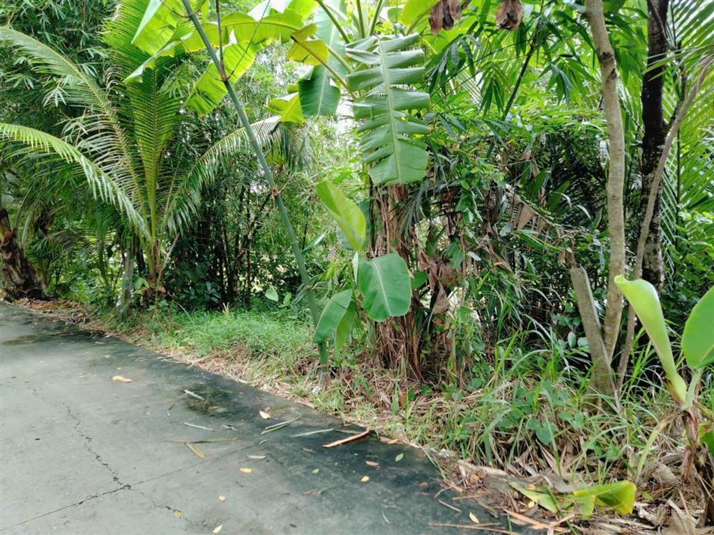 Bán đất cái tắc lộ ô tô cách cầu đất sét, ql1a chỉ 1,3km, cách chợ cái tắc 2,5km