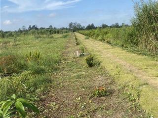 Bán đất cln rạch ngã bát cách vành đai phía tây 1km, thường thạnh, cái răng cần thơ lộ ô tô tới đất