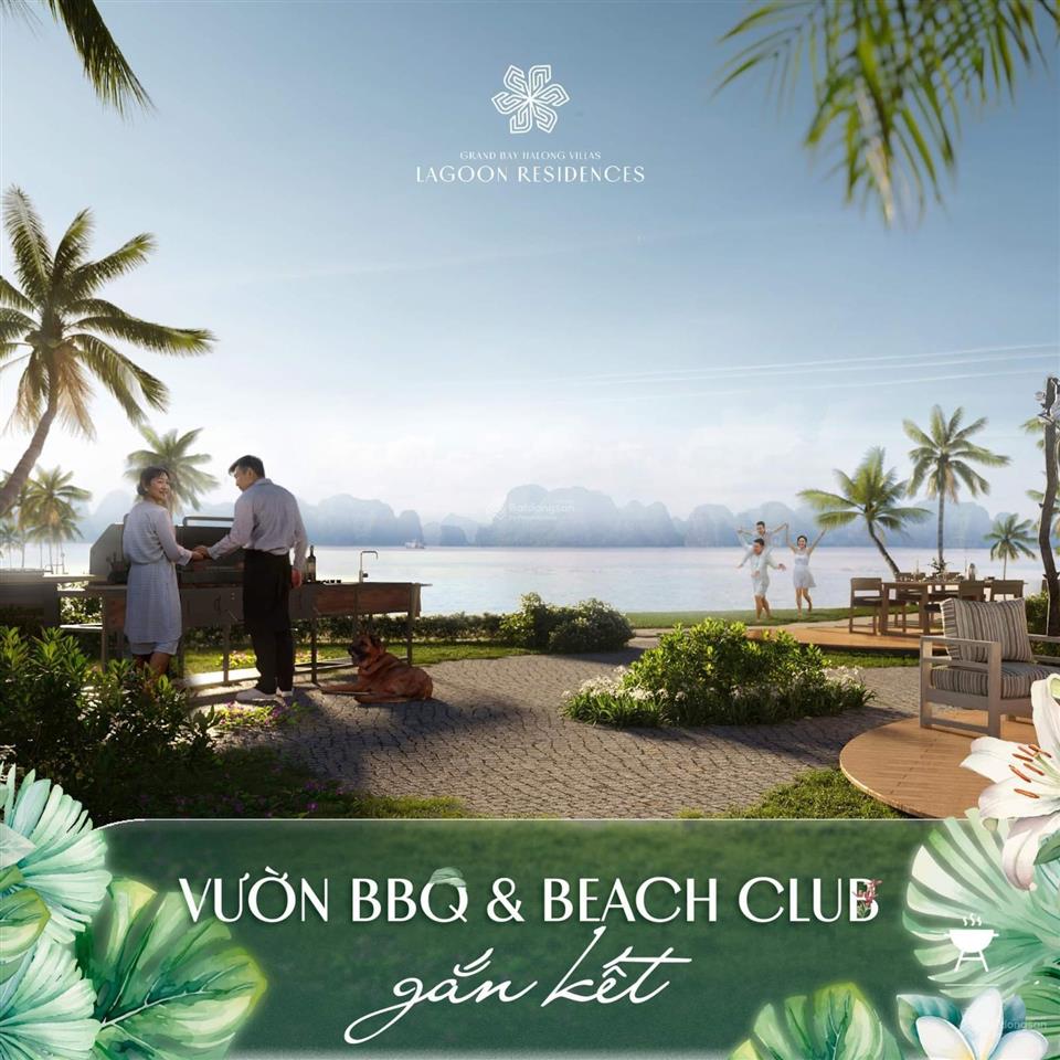 Biệt thự sát biển ha long, đất ở lâu dài, đã hiện hữu, có sân vườn, hồ bơi riêng, nhận nhà 2025