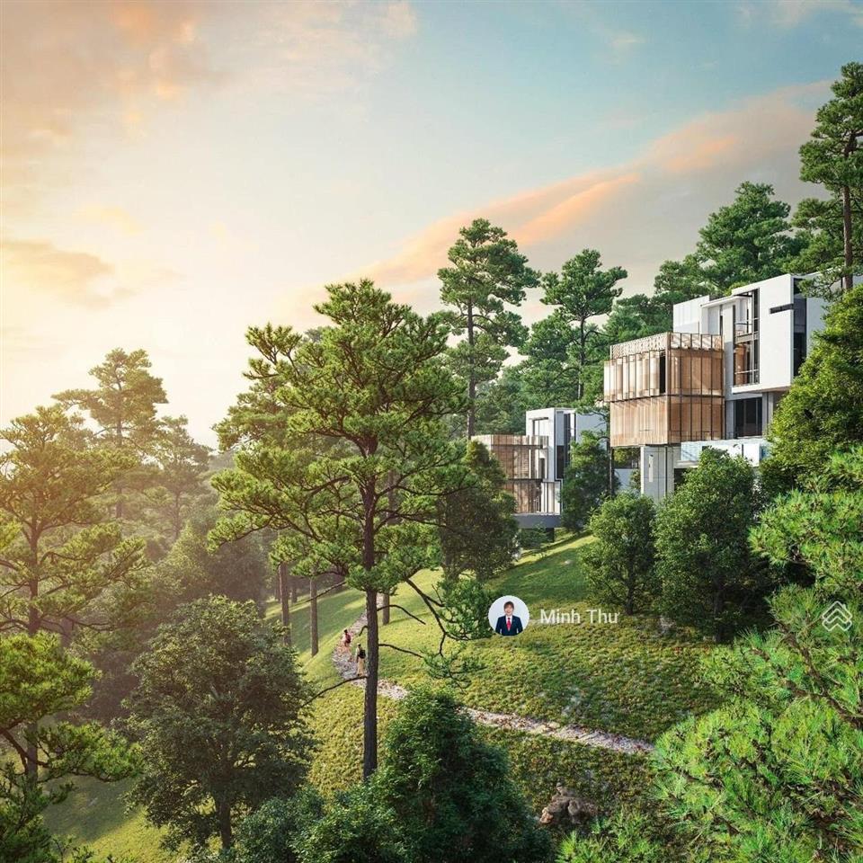 Biệt thự rừng thông kề cận intercontinental thanh xuan valley, 252m2, suất đợt 1