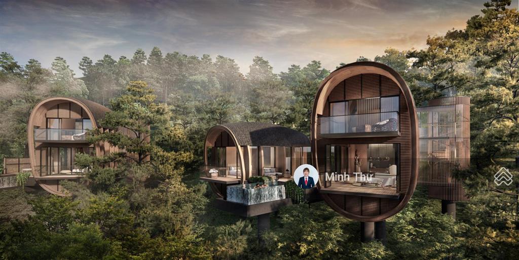 Biệt thự rừng thông kề cận intercontinental thanh xuan valley, 252m2, suất đợt 1