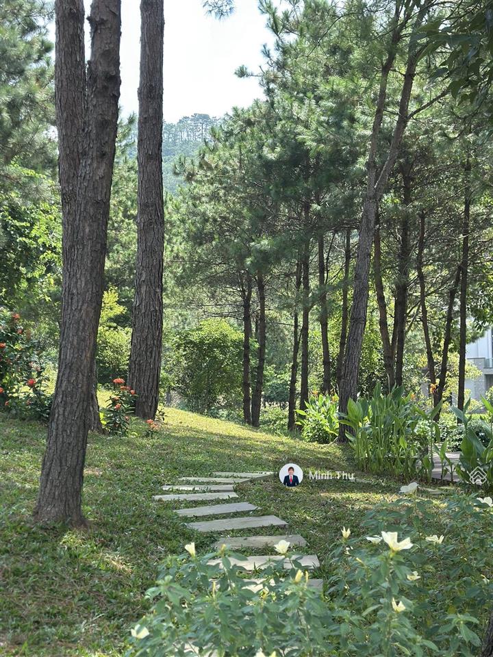 Ra mắt phân khu bt lakeside, đất ở lâu dài, đơn lập, song lập, view hồ, thanh xuan valley