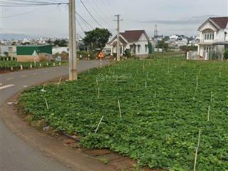 Chính chủ bán đất có 300m2 thổ cư thị trấn liên nghĩa, đức trọng, lâm đồng