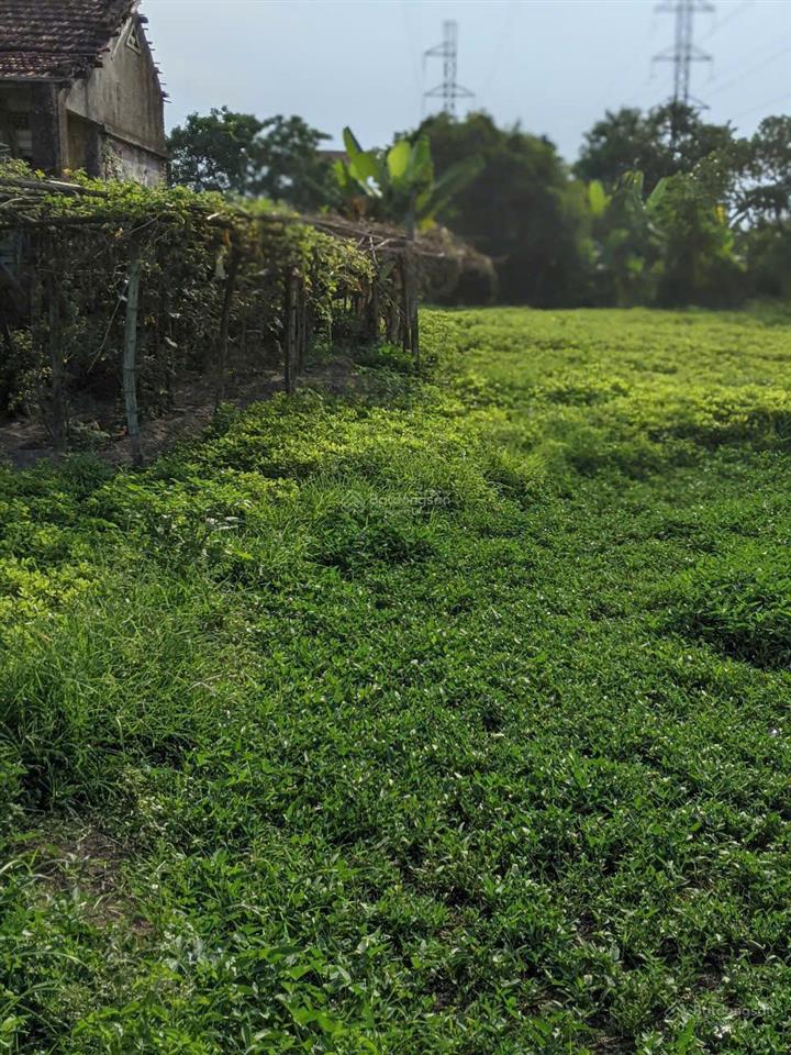 Bán đất tại cẩm sa, điện nam bắc, điện bàn, 5,5 tỷ, 718 m2 siêu hot