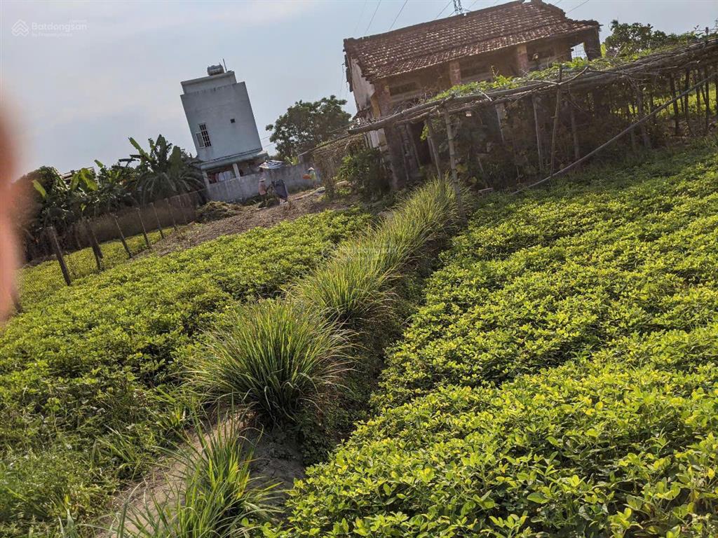 Bán đất tại cẩm sa, điện nam bắc, điện bàn, 5,5 tỷ, 718 m2 siêu hot