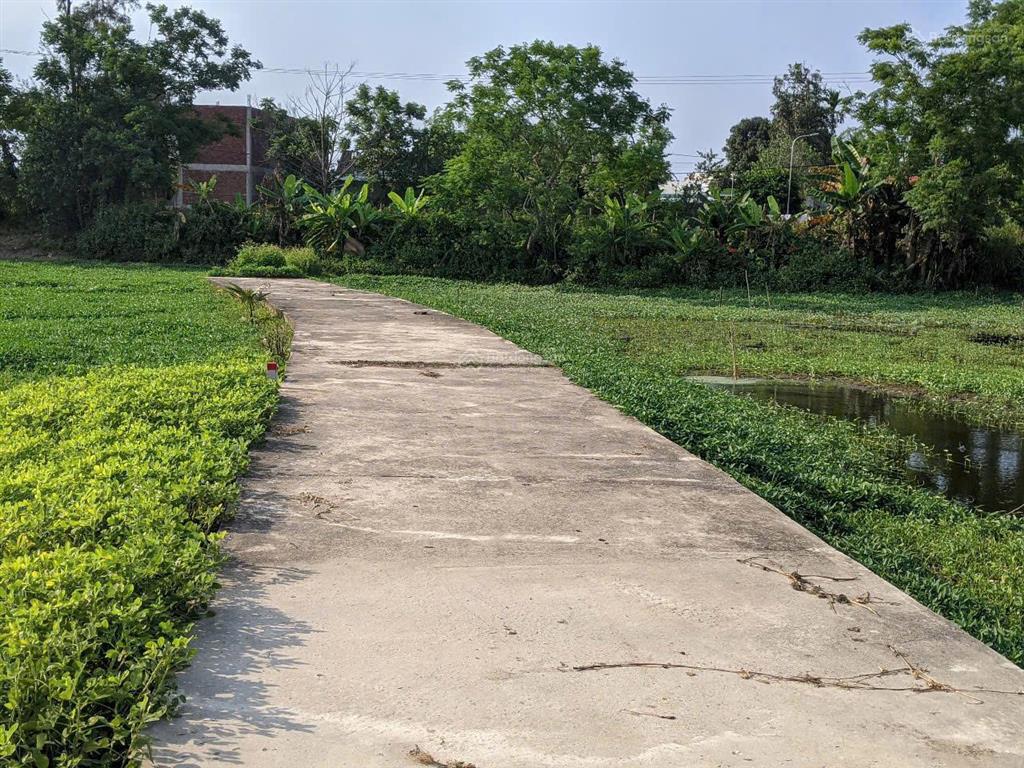 Bán đất tại cẩm sa, điện nam bắc, điện bàn, 5,5 tỷ, 718 m2 siêu hot