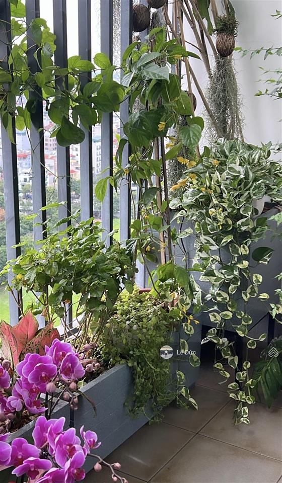 Cc bán nhanh căn 3pn view hồ điều hòa công viên tòa n01t1  ngoại giao đoàn.  0924 691 ***