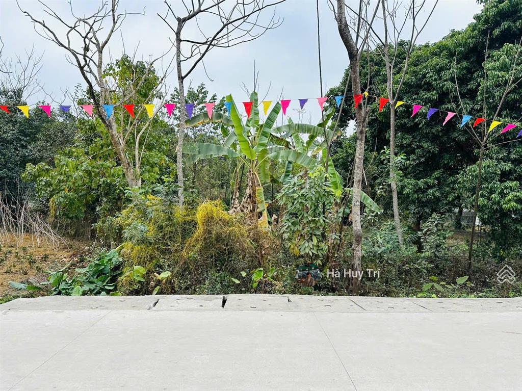 341m2  mt10m  bám trục chính thôn  cách đường mòn hcm 300m  giá đầu tư