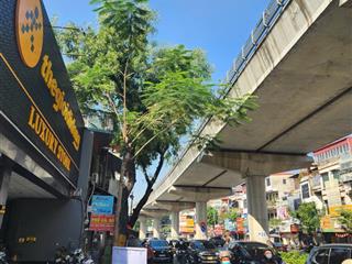 Bán nhà mặt phố cầu giấy vị trí đẹp nhất tuyến phố diện tích 270 m² mặt tiền 7 m giá bán 148 tỷ