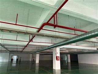 Cho thuê nhà xưởng trong kcn vsip 1 an phú  pccc tự động, nền eposy  tổng 10.000m2