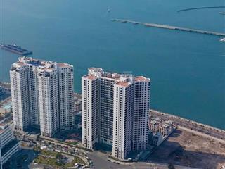 Bán gấp căn hộ studio view thành phố tòa nhà the sapphire hạ long, dt 36m2