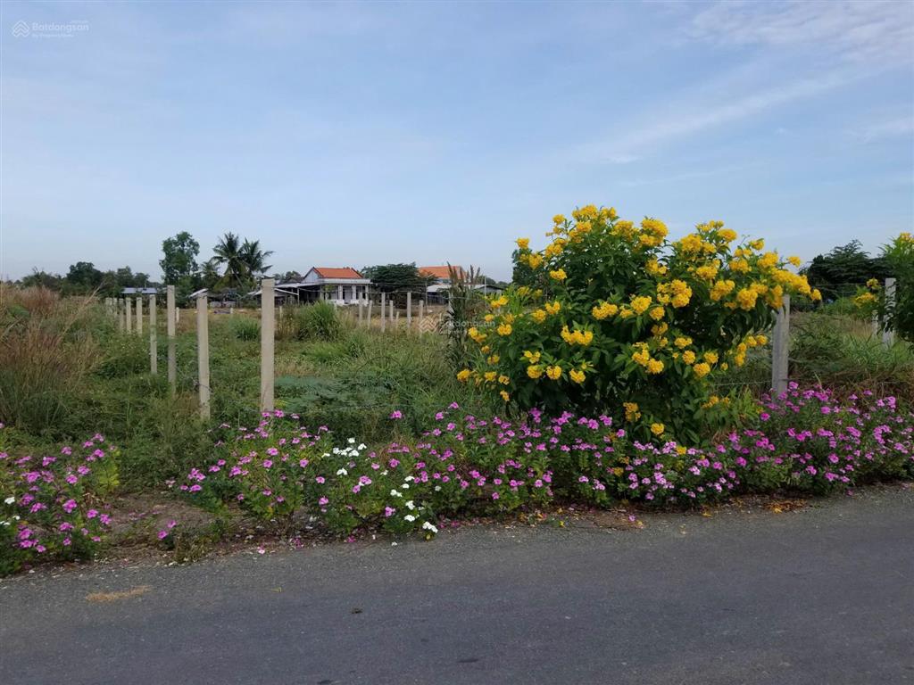 Chính chủ cần bán lô đất thổ cư 137.9m2 shr, mt đường nhựa 9m, xã mỹ lệ, h. cần đước, tỉnh long an