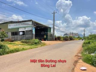 Chính chủ bán đất 2 mặt tiền đường nhựa chính bồng lai ( đạ ròn  đơn dương  lâm đồng)