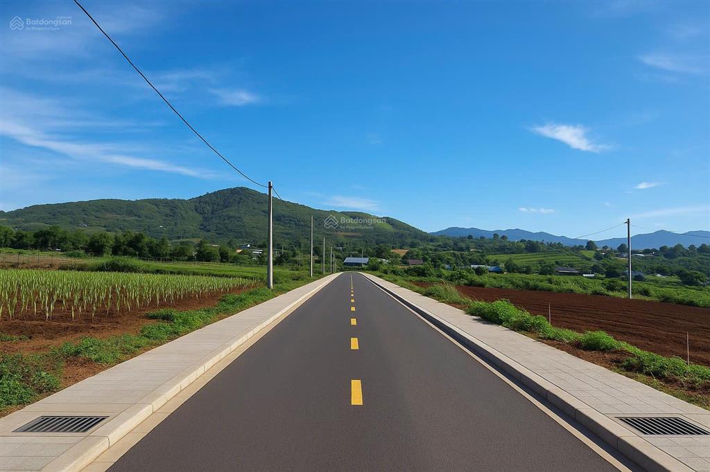 Chính chủ bán đất vàng tại liên hiệp liên nghĩa lâm đồng
