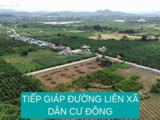 Chỉ còn 3 lô liền kề  5x40m  giá chỉ 430 triệu tại xã đinh văn, lâm hà (tân văn  lâm đồng)