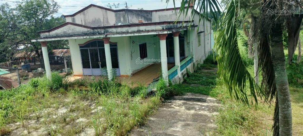 Bán lô đất giá rẻ đầu tư sinh lời cao dt 7800m2 có 1900m2 thổ cư mặt tiền đường nguyễn thị rành