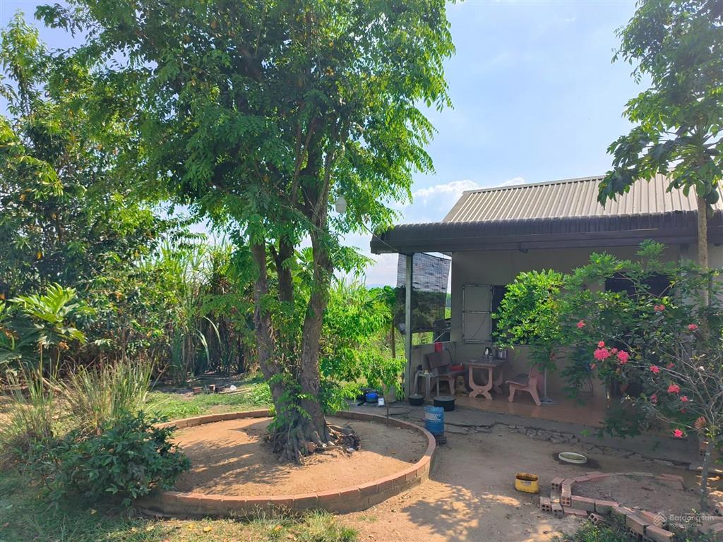Bán 3,5 hecta đất hai mặt tiền đường xe tải suối ôm hết đất, đất đẹp bằng phẳng đầu tư sinh lời cao