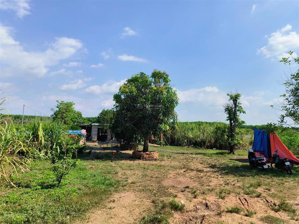 Bán 3,5 hecta đất hai mặt tiền đường xe tải suối ôm hết đất, đất đẹp bằng phẳng đầu tư sinh lời cao