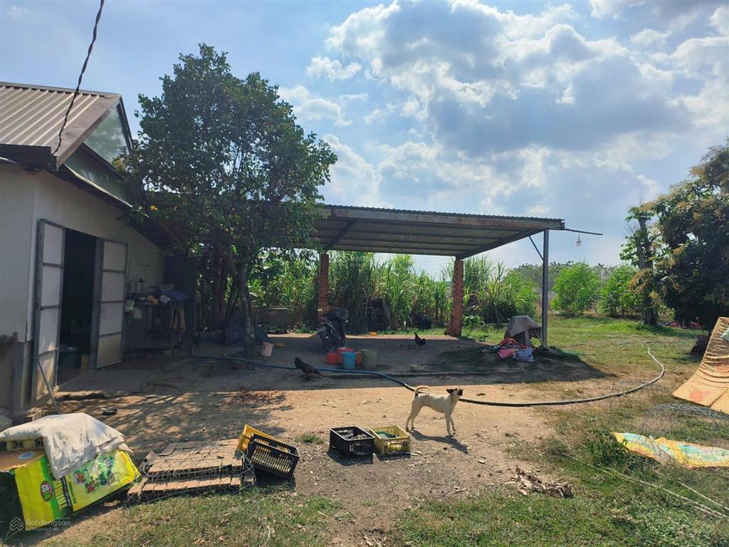 Bán 3,5 hecta đất hai mặt tiền đường xe tải suối ôm hết đất, đất đẹp bằng phẳng đầu tư sinh lời cao
