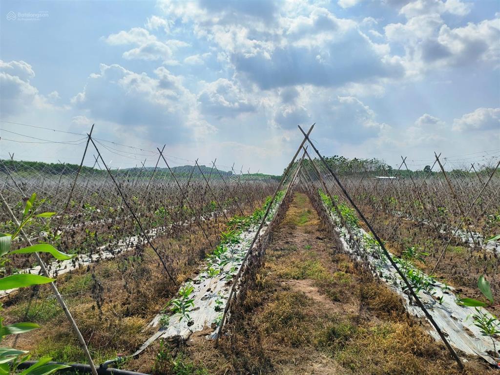 Bán 3,5 hecta đất hai mặt tiền đường xe tải suối ôm hết đất, đất đẹp bằng phẳng đầu tư sinh lời cao