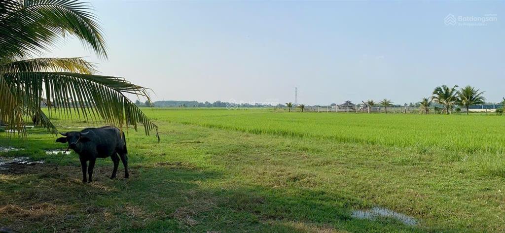 Bán lô đất đường tl7 xe container chạy khu dân cư đông gần chợ, trường học,ủy ban quy hoạch đất ở