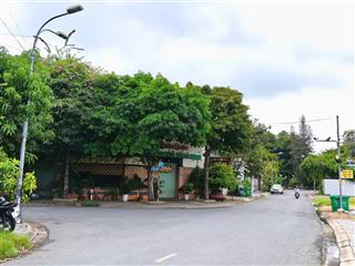 Giảm giá sâu  ngộp ngân hàng  bán đất thái ly 8*25m sổ riêng  vuông vức  giá 36 tỷ