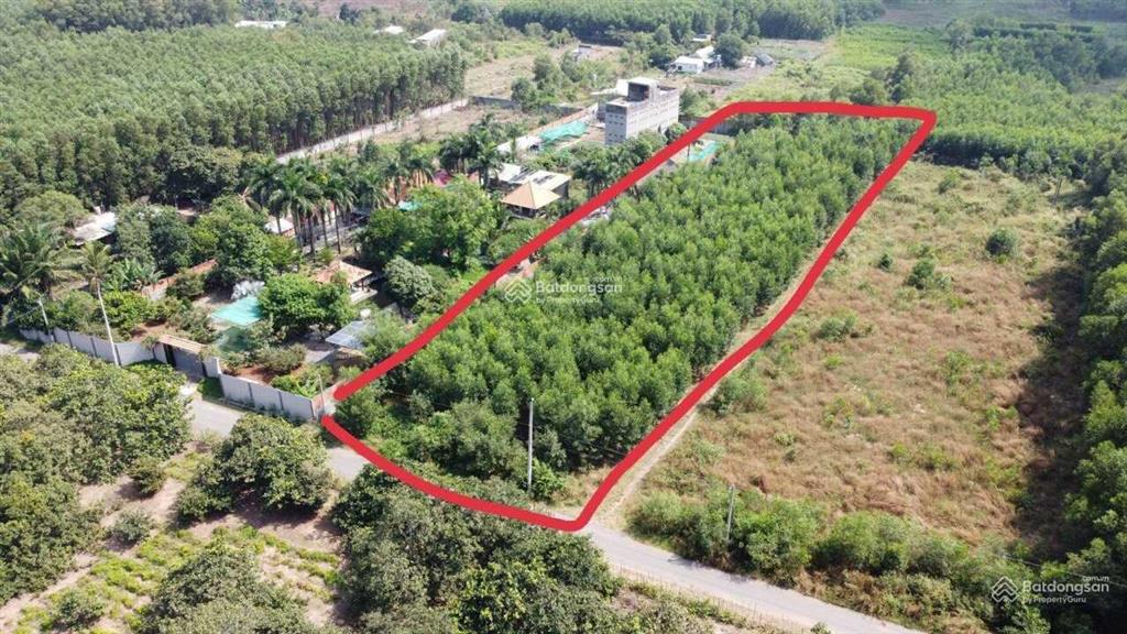 Chủ kẹt tiền cần bán vài lô đất mt đường nhựa 1/quốc lộ 51, thổ cư, sát ngã tư 67, giá đầu tư