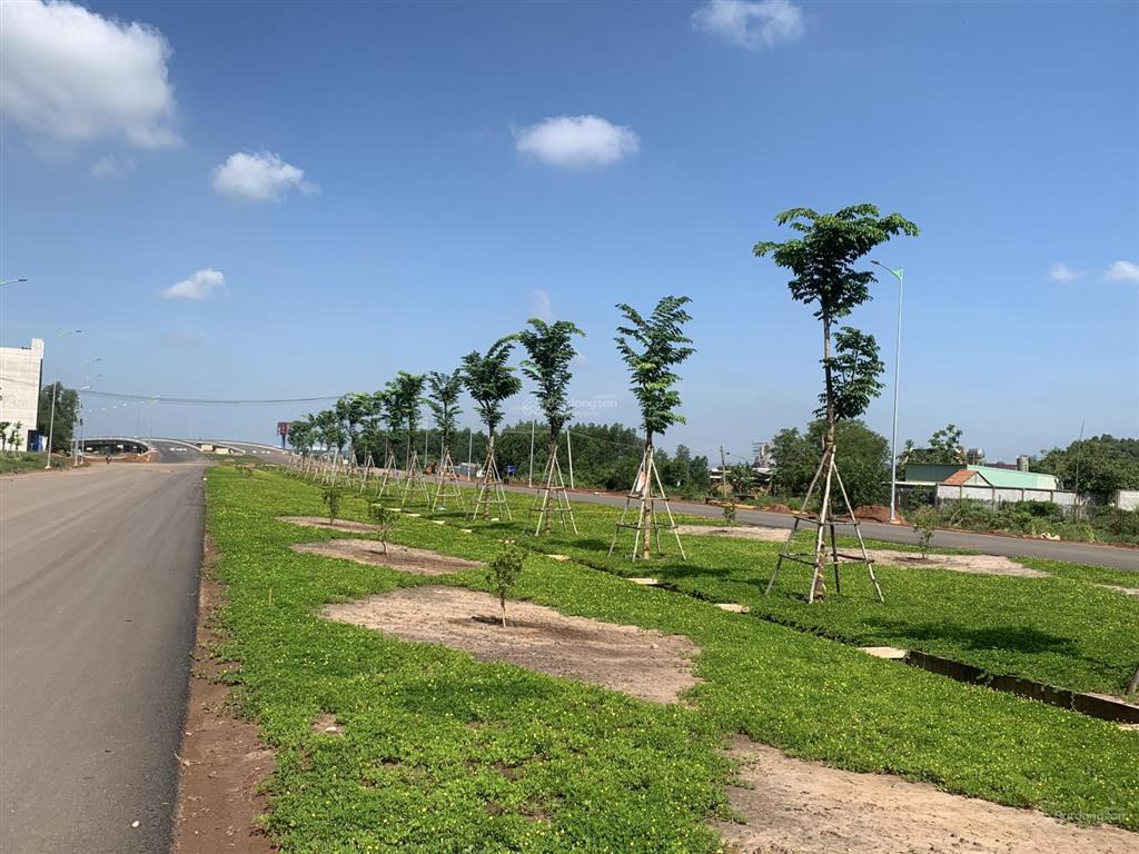 Cần bán vài gấp lô đất mt đường chính bàu cạn qh 32m, thổ cư, ngay cổng kcn bàu cạn & sb long thành