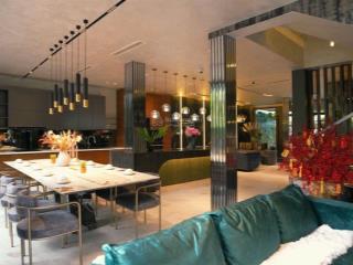 Biệt thự siêu vip 2 mặt tiền trước sau view sông, sát trường quốc tế, phú mỹ hưng quận 7
