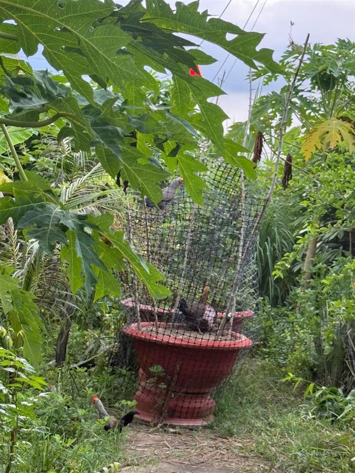 Chính chủ cần bán 02 lô đất rộng, đẹp tại tp cam ranh, khánh hòa