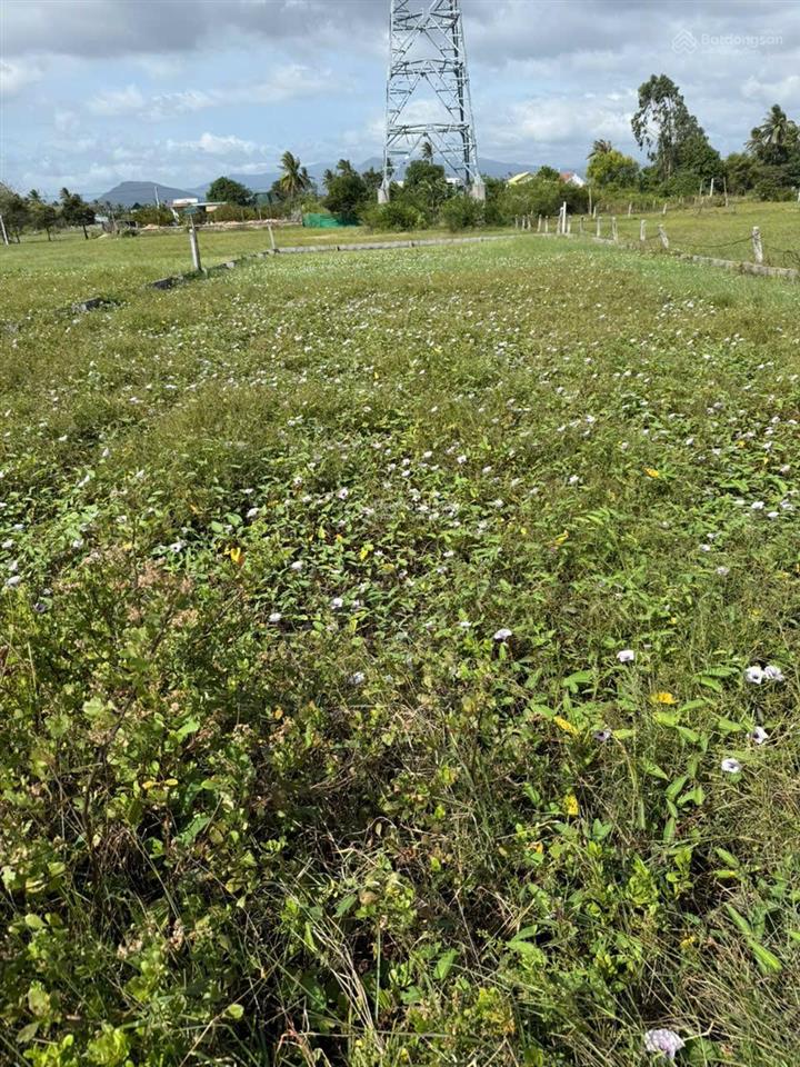 Chính chủ cần bán 02 lô đất rộng, đẹp tại tp cam ranh, khánh hòa