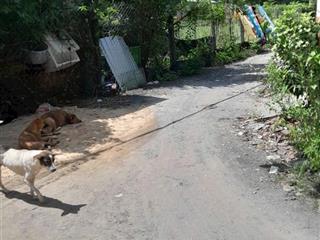 Bán nhà vi bằng (4x14m) 56m2 tại đường 20, hòa phú, củ chi, hcm giá 700 triệu
