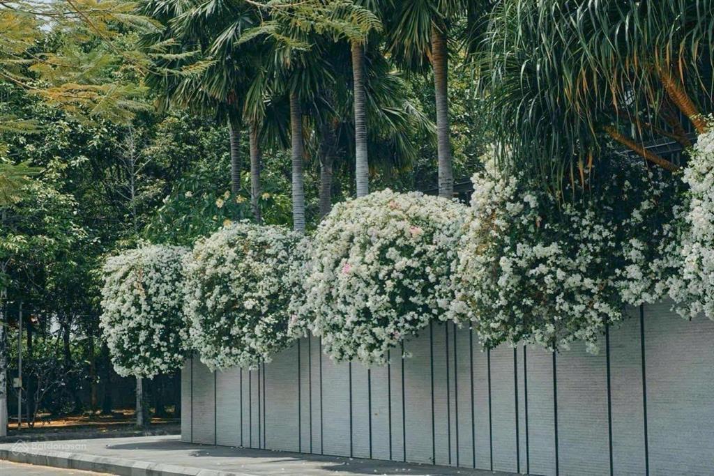 Biệt thự hồ bơi mới đẹp 250m2 chỉ 82 tỷ khu compound vip 200 nguyễn văn hưởng thảo điền quận 2