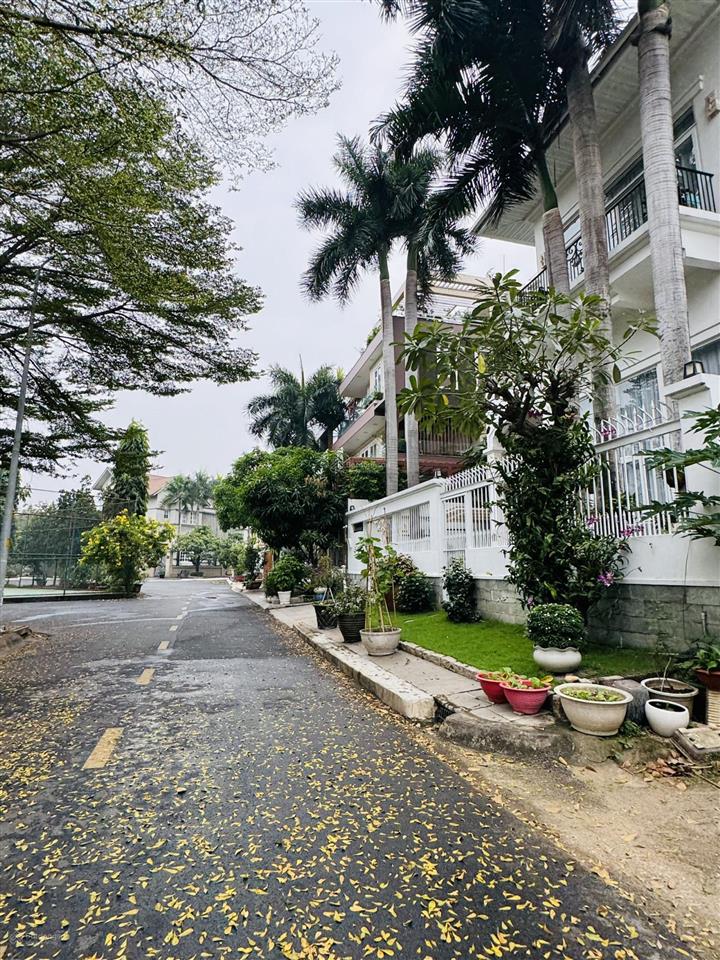 Rẻ nhất khu compound trần não 85tỷ diện tích lớn 480m2 khan hiếm quận 2 tiện xây văn phòng biệt thự