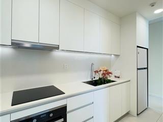 Cập nhật giỏ hàng cho thuê tháng 8/2025 căn 1pn4pn  zeit river