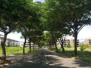 Sập hầm đất golden hill, khu c1, vị trí đẹp. đối lưng biệt thự shophouse, hàng hiếm có