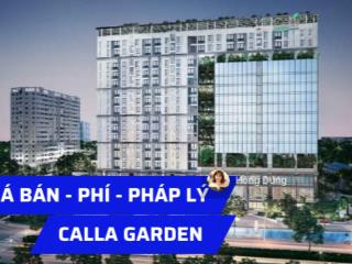 Bán căn hộ chung cư calla garden, full nội thất đẹp, 2.75tỷ