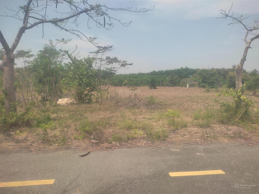 Chuyên nhận ký gửi mua bán khu dân cư long tân city, đường 25c, nhơn trạch dt 177m2,  0938 903 ***