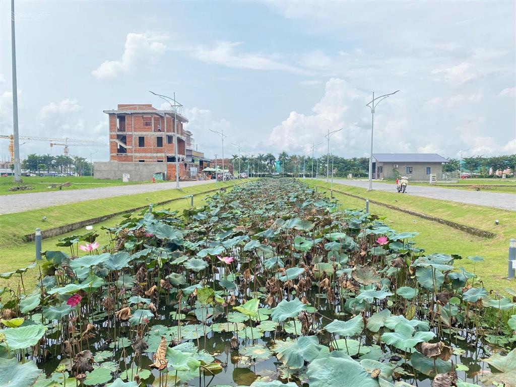 Bán đất hiếm nam long ii  biệt thự view hồ sen  247,5m2 thổ cư, mt 16,5m, đường lớn 8m  10 tỷ
