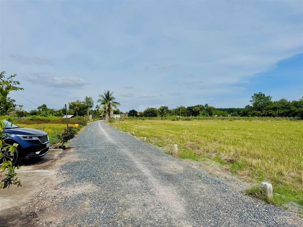 Bán đất 150 m2 thổ cư, chỉ cần tt 160 triệu , tháng góp 3,1 triệu, sổ hồng công chứng ngay.