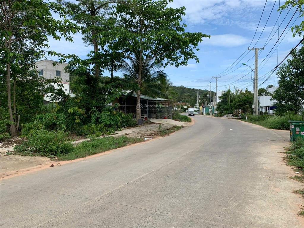 Bán mấy lô mặt tiền cây thông ngoài giá rẻ nhất khu vực