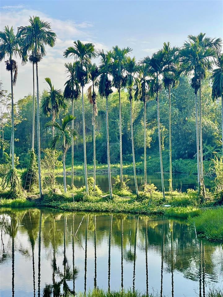 (chính chủ) bán đất 92m2  đường thông, view núi ba vì, cách hoà lạc 45p, giá 380 triệu