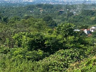 Bán 154m2 đường rộng 6m, cạnh trường đồi spring hill. 0966 212 ***