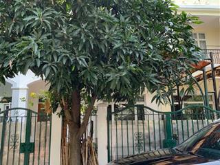 Villa hưng thái, phú mỹ hưng, q.7. cho thuê 37 triệu 0938 602 *** nhân