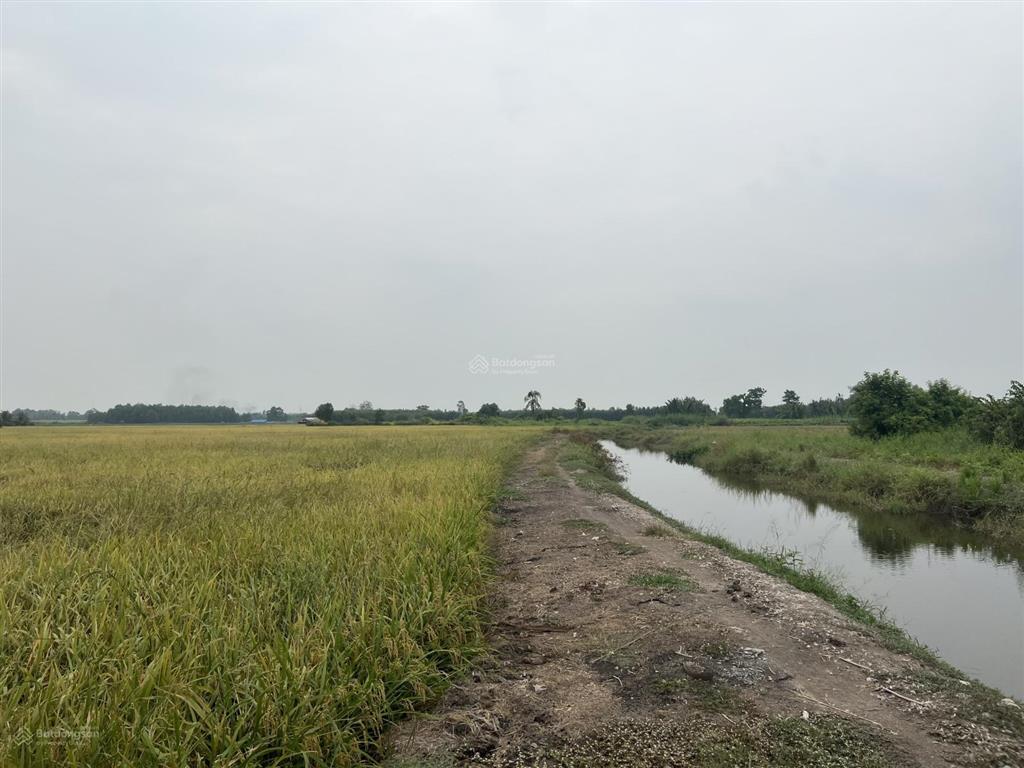 Bán đất kênh 10, lê minh xuân, bình chánh 3ha