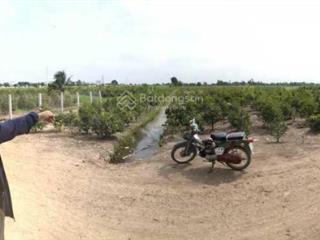 Bán đất vườn thơm  bình lợi  bình chánh 2ha (20.000m2)