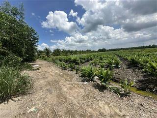 Bán đất giáp kênh 9, xã lê minh xuân dt 9200m2